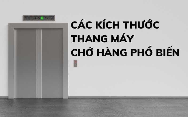 Kích thước thang chở hàng theo từng tải trọng và ứng dụng thực tế